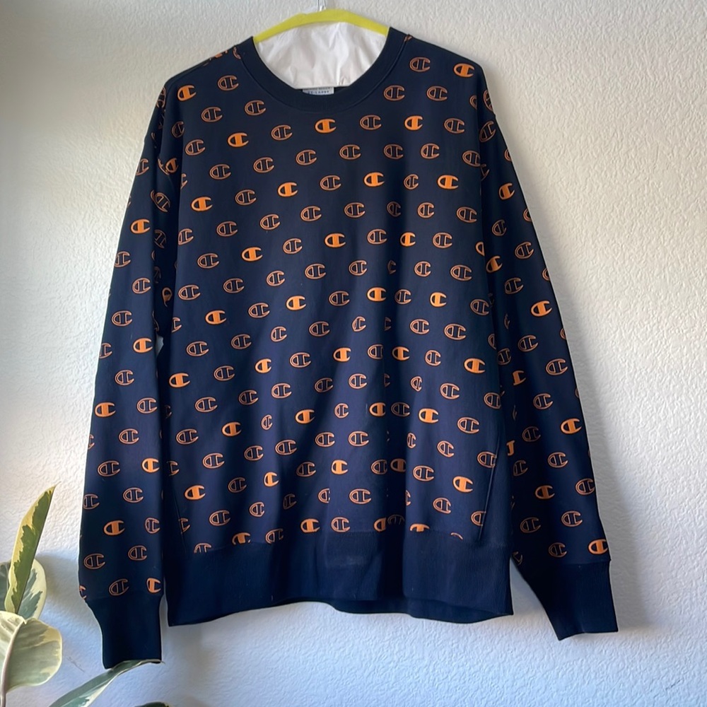 Champion crewneck sweater
